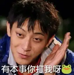 黄子韬表情包的原本小太