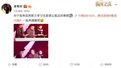 表情包分类最强大脑