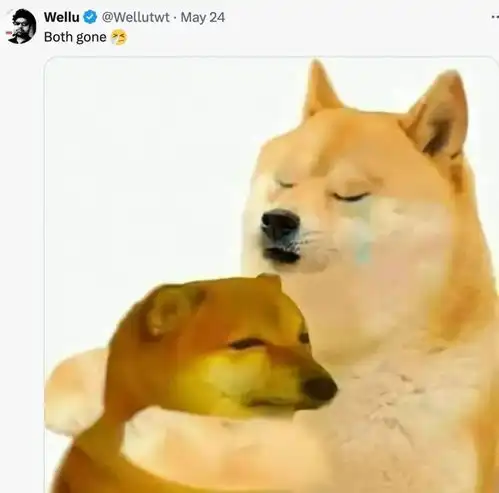  世界emoji日狗狗化身表情包,让你的沟通更有趣