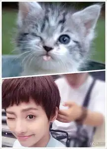 高清张嘉倪自拍爱眯眼猫咪同款表情萌到爆 高清张嘉倪自拍爱眯眼猫咪同款表情萌到爆