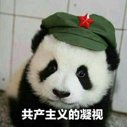  相思赤云x木青寞