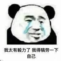  熊猫头表情包i对不起你是一个好人