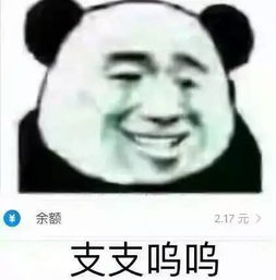  你投的每一分钱,都成为了他们跑路的经费