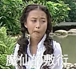  十条笑话施主长成这般模样,不出门就是环保