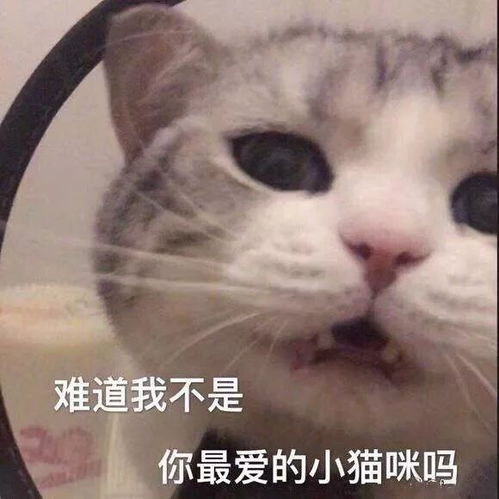  自考公开课免费观看速来围观