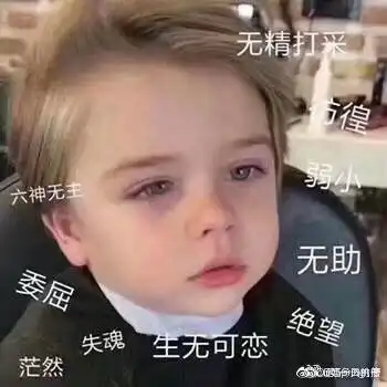 姐妹情深的表情包杨紫新