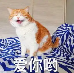  猫咪表情包来袭我没有在嘲笑你,别想太多