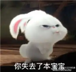  爱宠大机密兔子高清动态图下载爱宠大机密兔子动态gif表情包安卓版飞翔...
