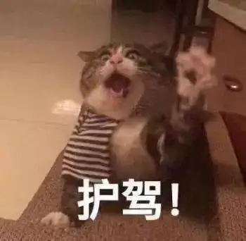  瑶瑶爆料丨新坐骑是又粗又长的大萝卜原来嫦娥平时就是骑这个出行的吗
