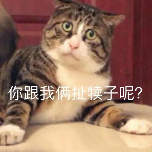 今晚约吗文字表情包恶搞