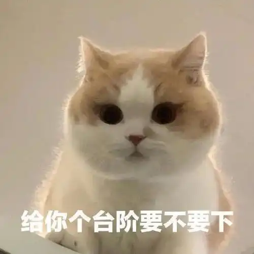  想让你一直有喜欢的表情包用