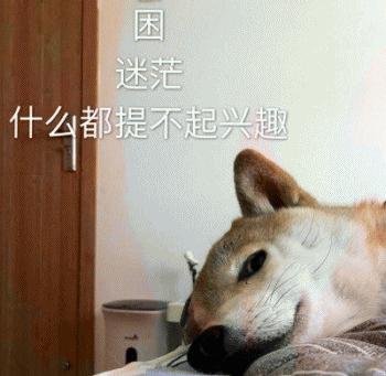  怎么快速入睡