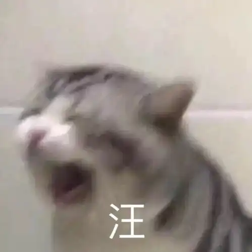  吸欧气支付宝中国锦鲤诞生,她下半生是不是不用工作了