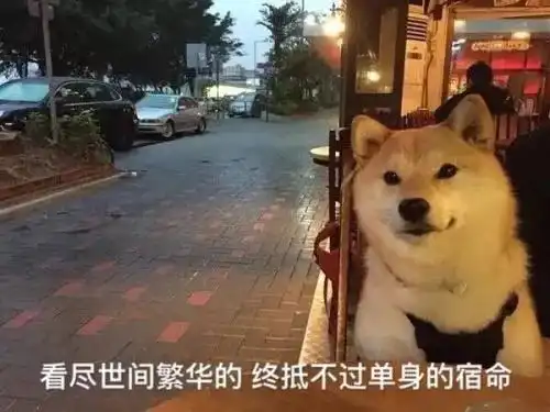  定了以后这部分工资不用再交税,全部漳州人,你们的钱包要变鼓了