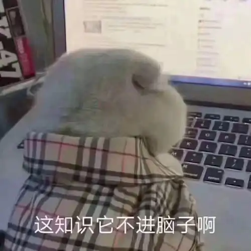  2019年终总结,是我本人没错了