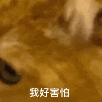  抖音热门潮图表情i摸你屁股