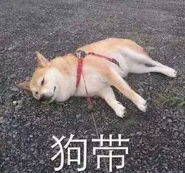  大佬可以尽情装,中产应该如何逆袭