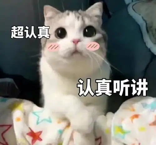 算我求你的表情包猫算命