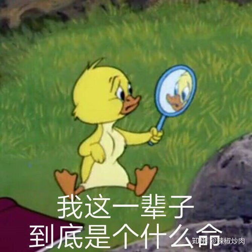  办生日会需要准备什么