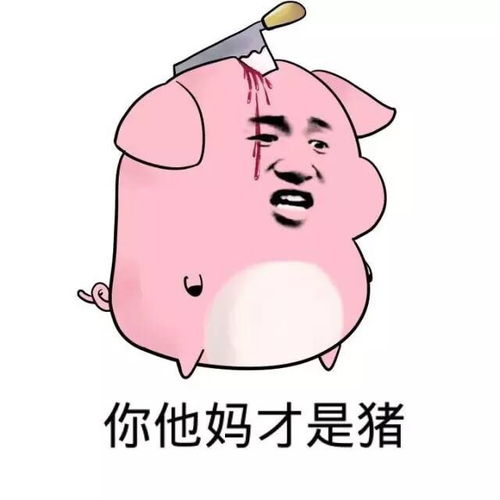  育肥猪保险赔付标准肉猪保险一般赔多少