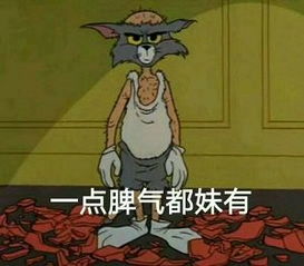  威威趣谈不想当总统的it高手不是好ceo
