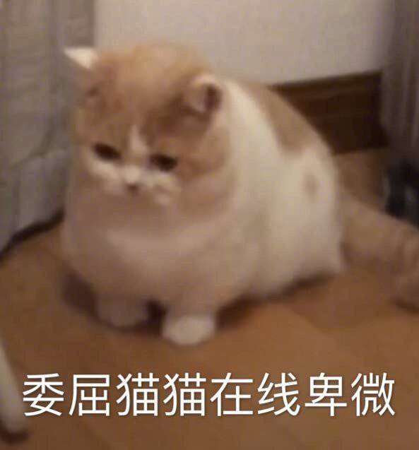  娇俏大小姐x深情隐忍养子豪门青梅竹马先婚后爱大家有看过安山吗有无排雷