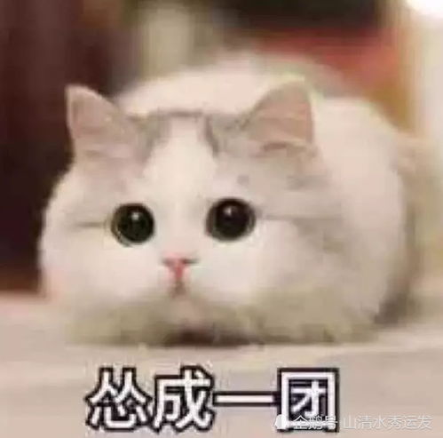  惹女票生气了,别再发错了,亲爱的,这些表情包才是解药