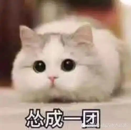 惹女票生气了,别再发错了,亲爱的,这些表情包才是解药  惹女票生气了,别再发错了,亲爱的,这些表情包才是解药