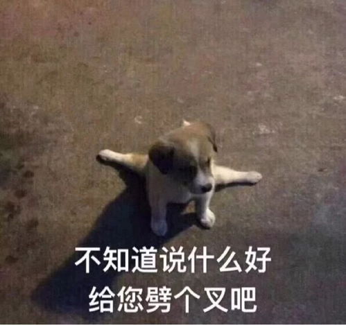  长期化妆和不化妆的差别你可能现在都不知道