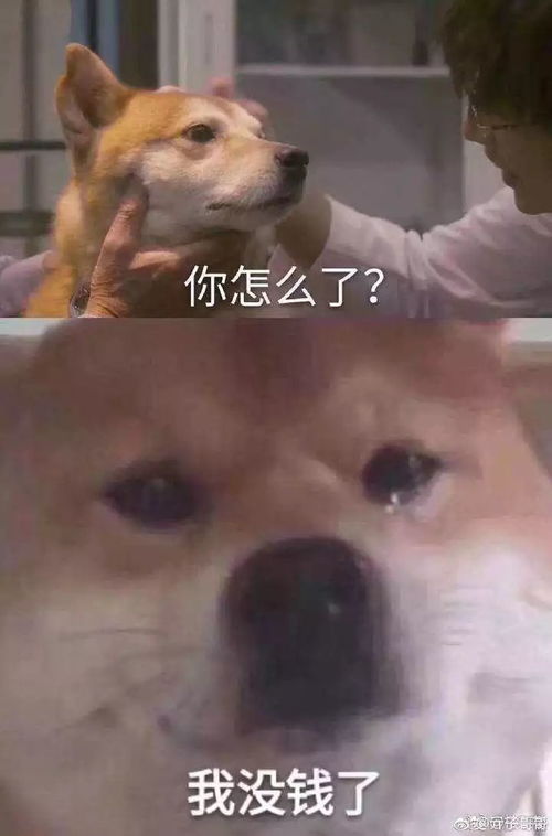  双十一后遗症,你中招了吗