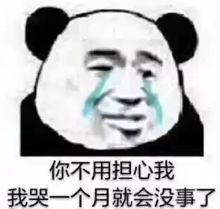  熊猫头骂人搞笑表情包