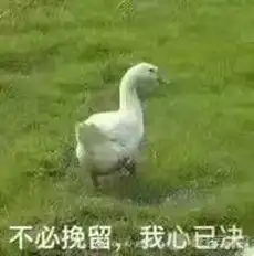  虎说扒叨战斗学院新番来袭拳头动画大厂赛高