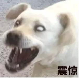  赵丽颖冯绍峰宣布离婚将共同抚养孩子