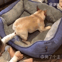  小猪佩奇身上纹,掌声送给社会人爆笑囧图