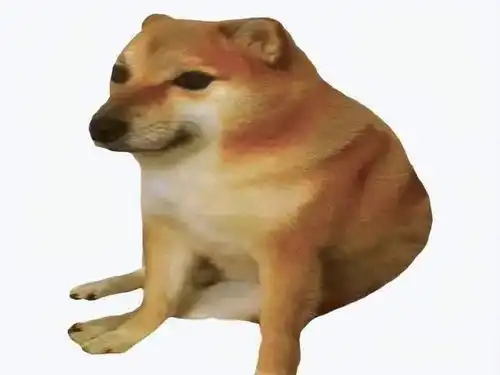 柴犬带字表情包doge