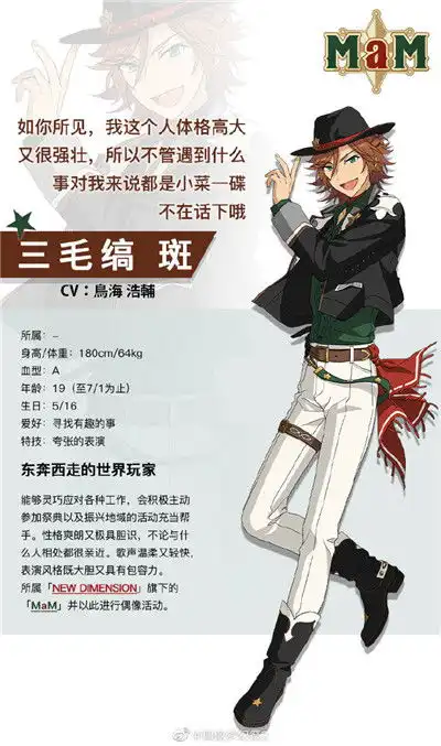  偶像梦幻祭2单人组合mam三毛缟斑档案公开