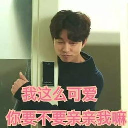  国货行货你到底选哪一个