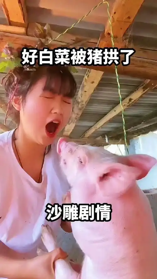 笑死人不偿命的表情包恶