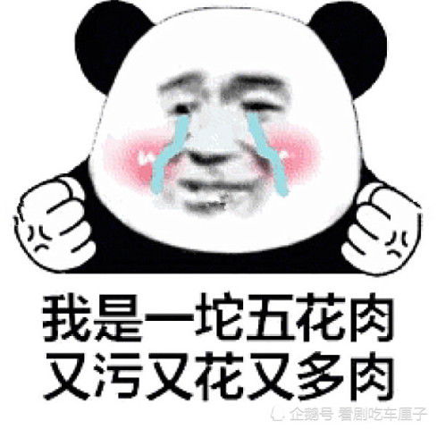  高清怼人专用表情包你是一张豆腐皮,又逗又腐又很皮