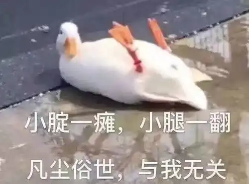  女生穿成这样算暴露吗