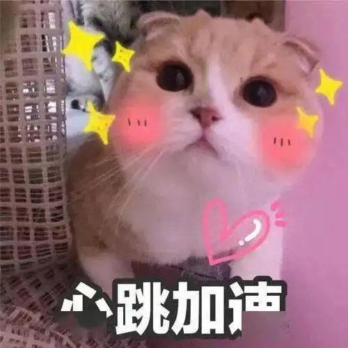  西湖美警,不来看看嘛
