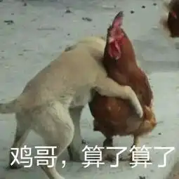  这些狗狗表情包,看过的人都收藏了哟