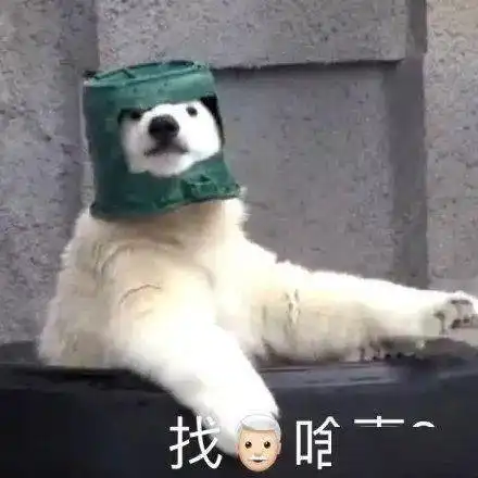  你算哪块小鱼干