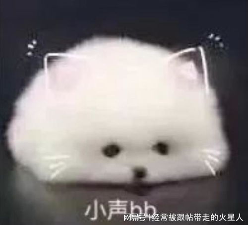  5天减重50斤,可行不