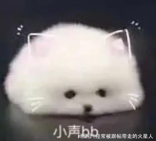  5天减重50斤,可行不