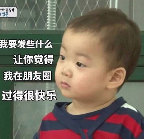 让我摸摸你的表情包璀璨