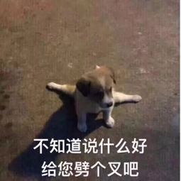  连娱乐圈这几对都是假恩爱我再也不相信爱情了