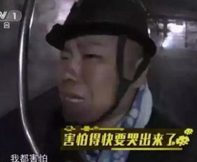  岳云鹏登上外文报刊翻译齐聚微博下