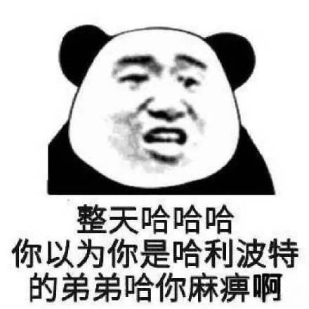  搞笑表情包整天哈哈哈,你以为你是哈利波特的弟弟啊