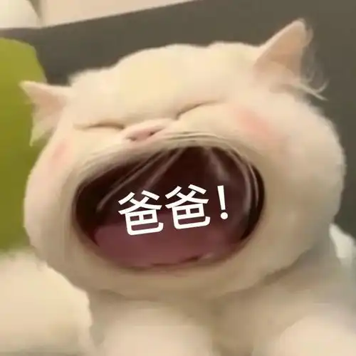  大嘴猫表情包要生活费专用